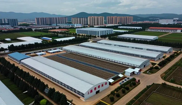技术咨询在业务地区拓展中的多维应用场景分析